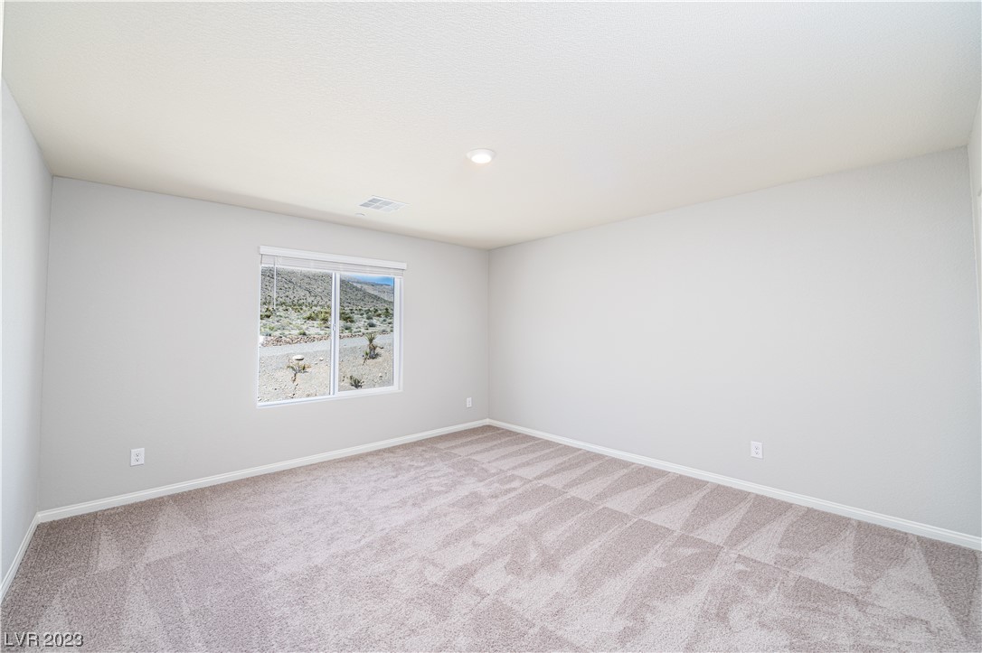 4225 Sago Lily Street