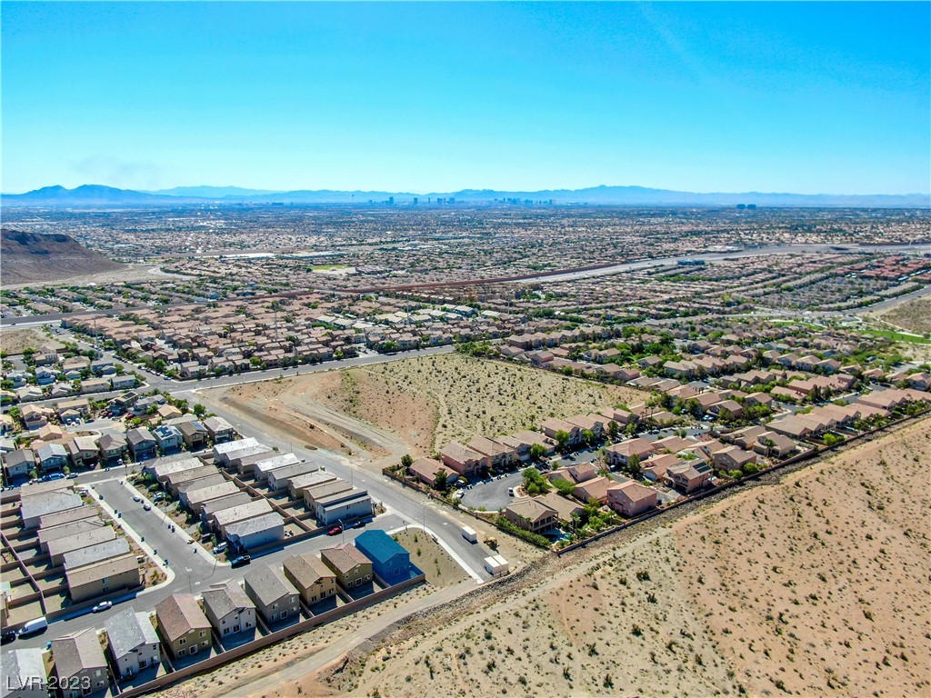 4225 Sago Lily Street