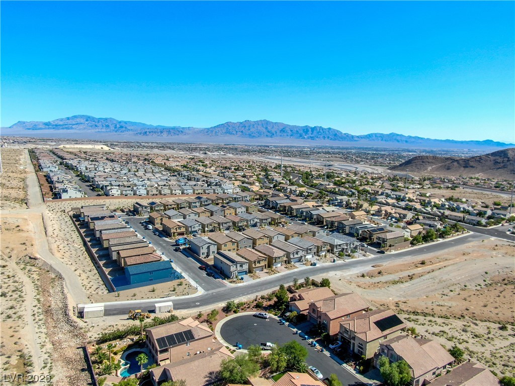 4225 Sago Lily Street