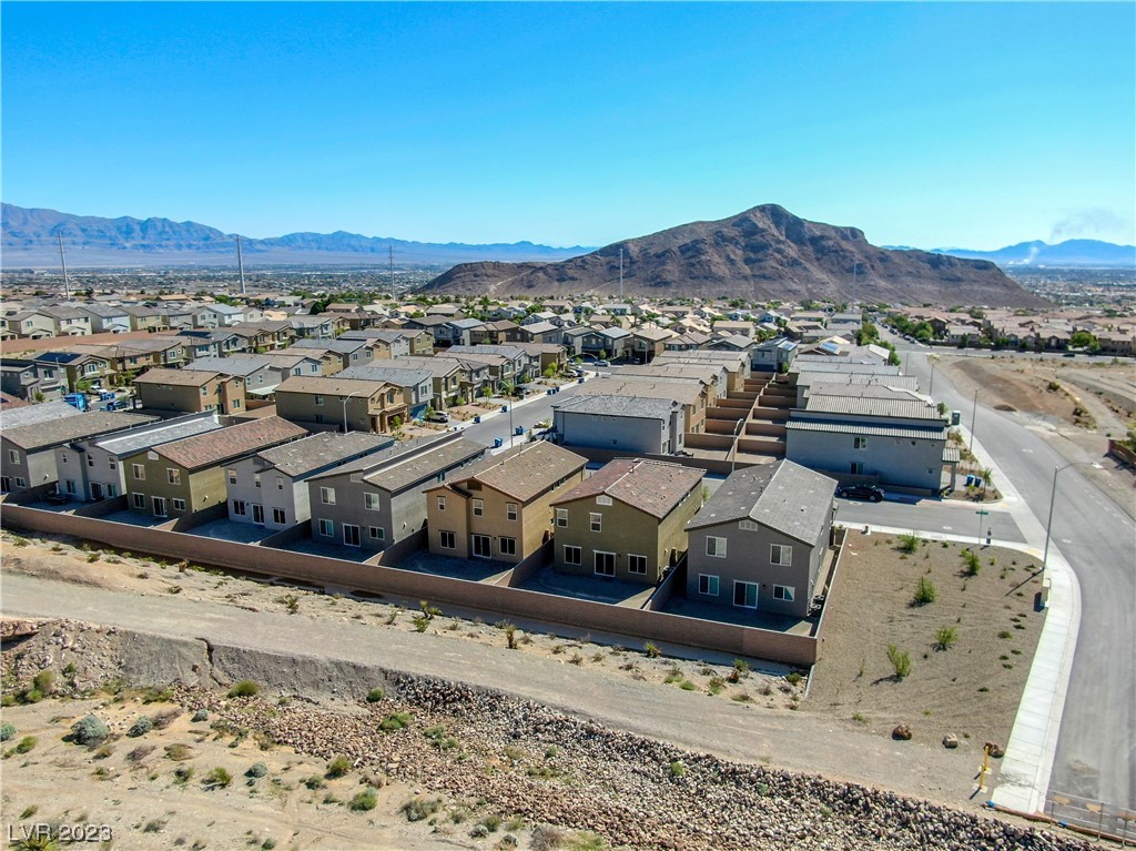 4225 Sago Lily Street