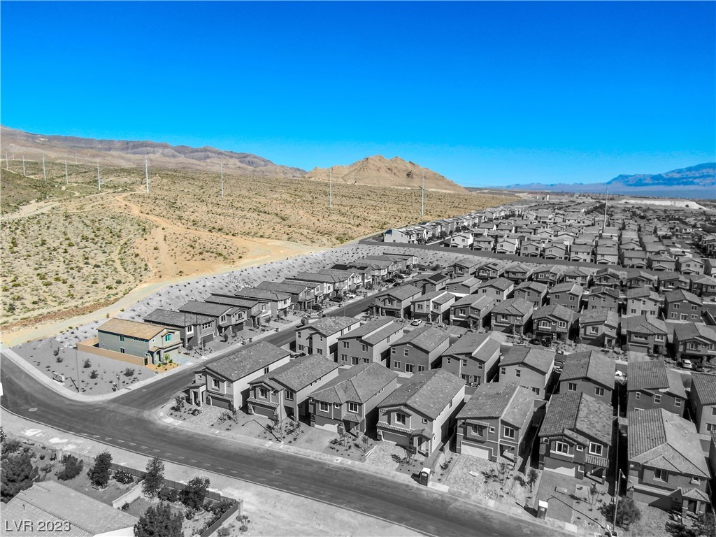 4225 Sago Lily Street