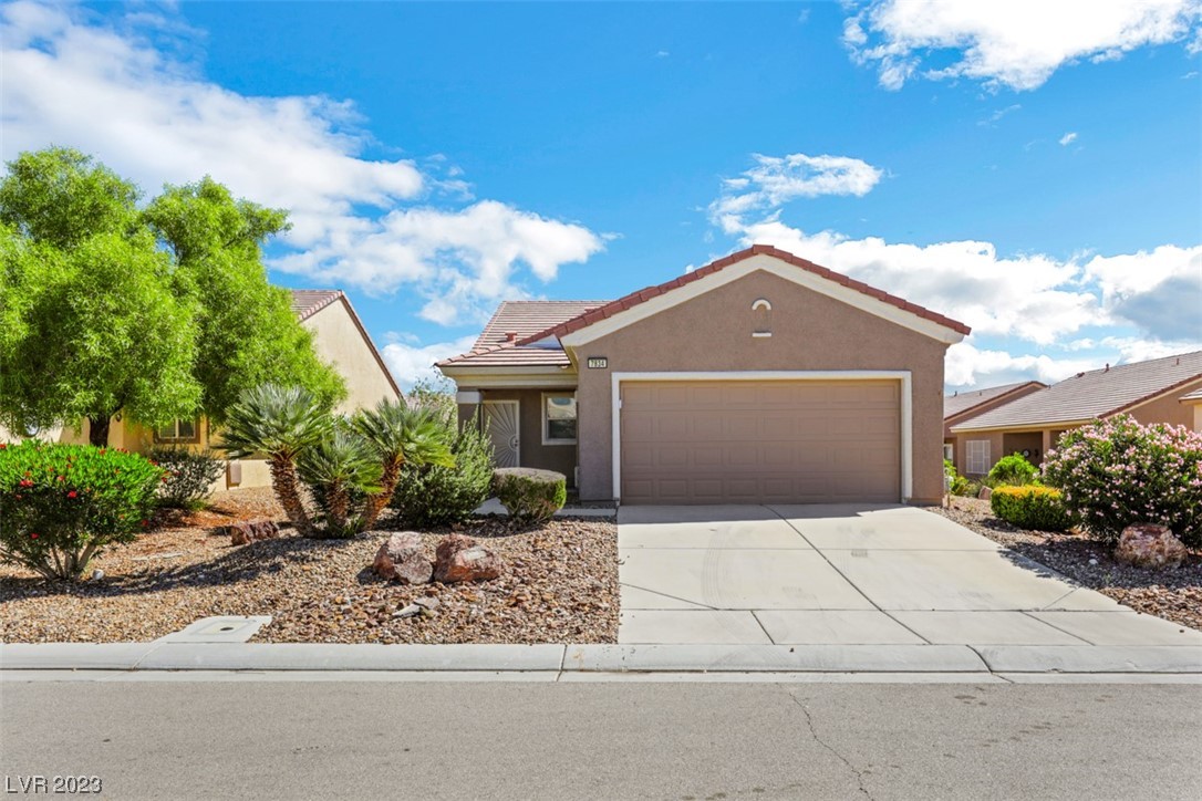 7834 Lily Trotter Street