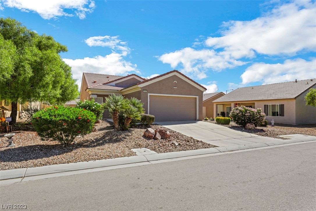 7834 Lily Trotter Street