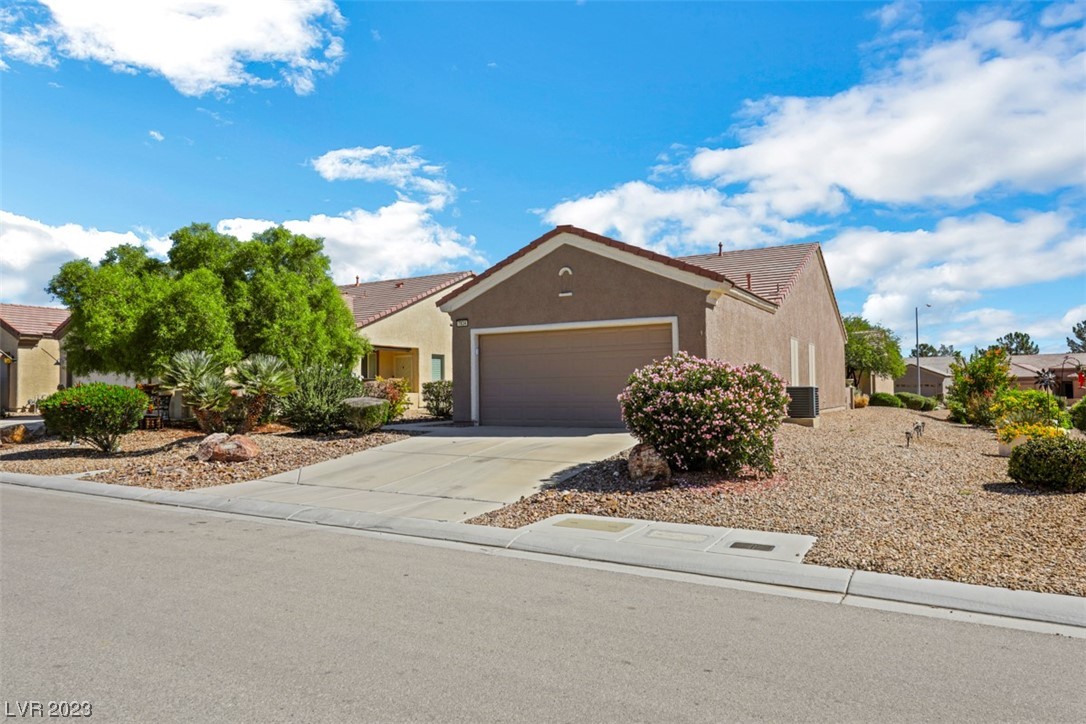 7834 Lily Trotter Street