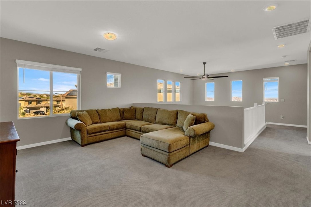 12379 Switchgrass Avenue
