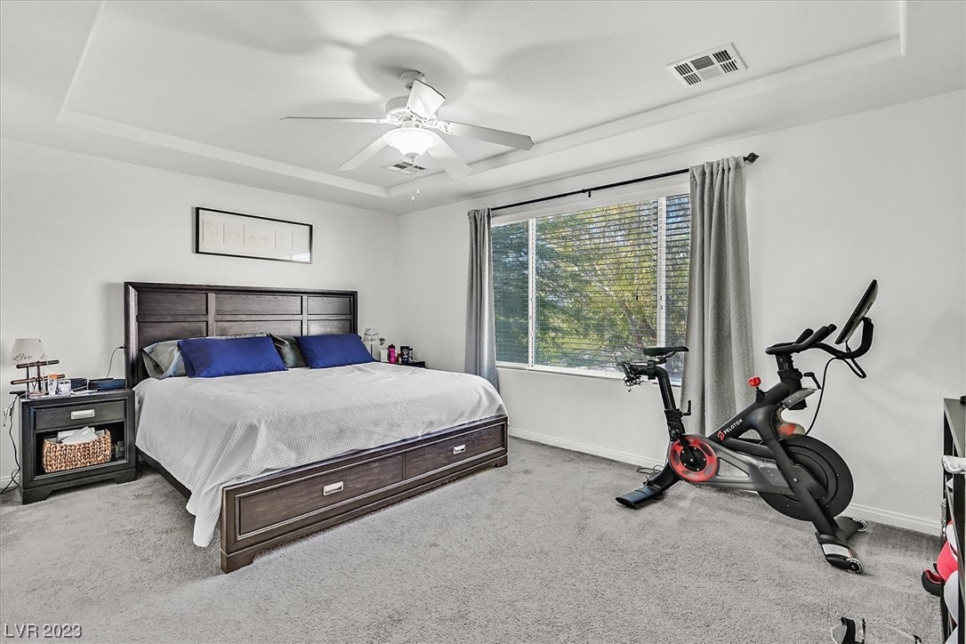 8938 Bonneville Peak Court