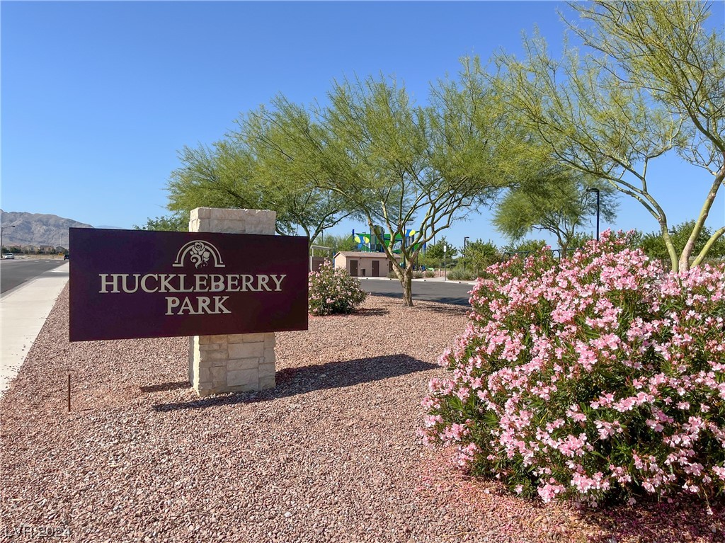 10609 Axis Mountain Court