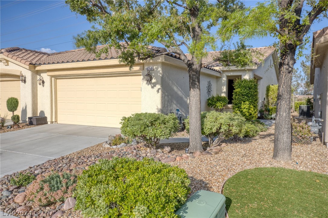 4750 Regalo Bello Street 0