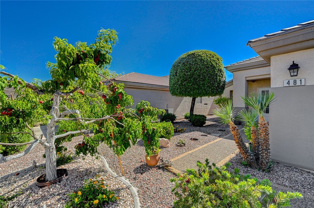 481 Bonnie Brook Place