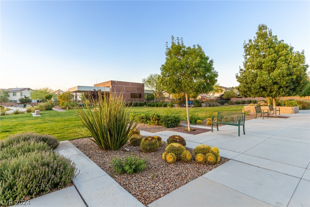 913 Sycamore Falls Street