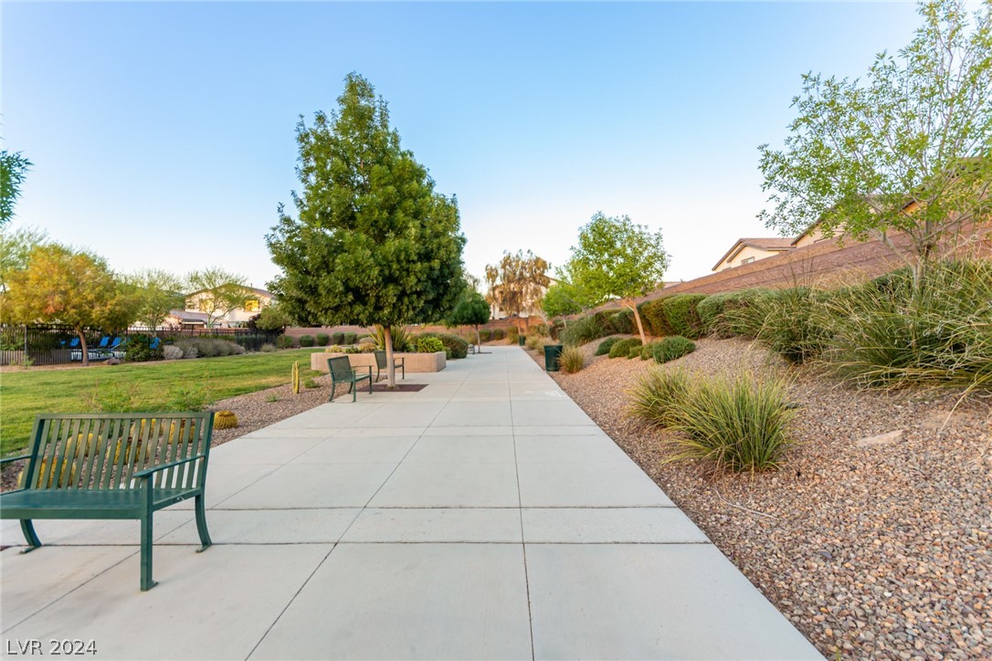 913 Sycamore Falls Street