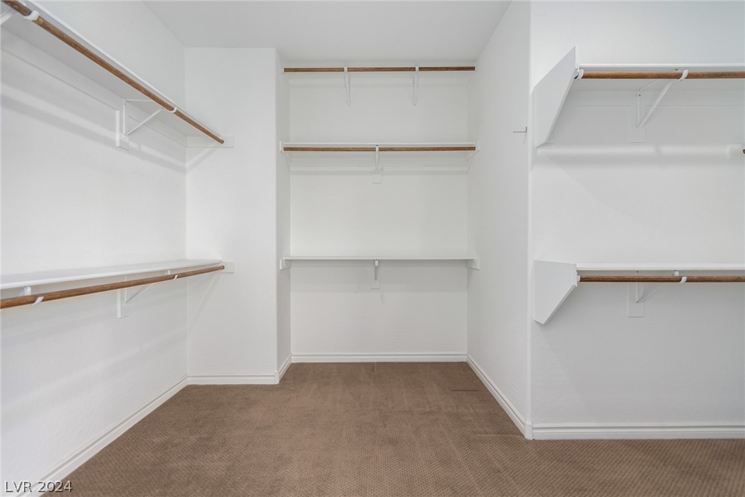 913 Sycamore Falls Street