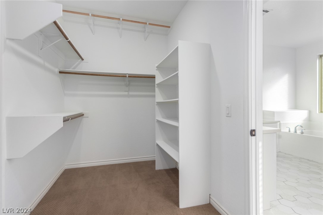 913 Sycamore Falls Street