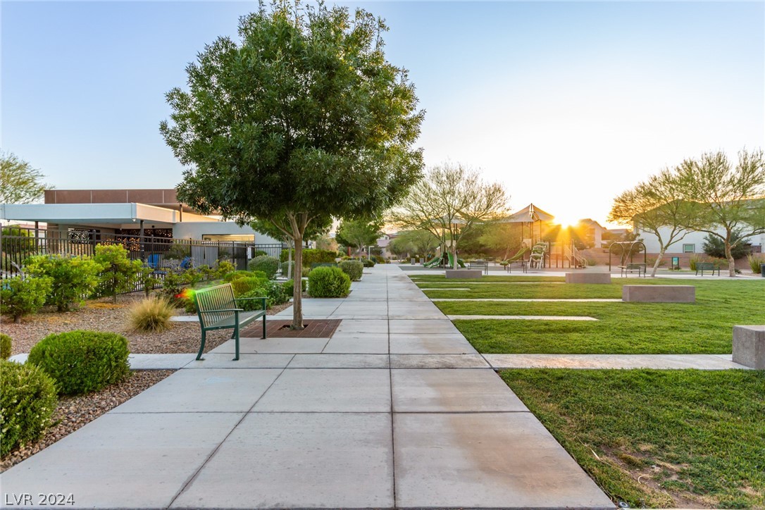 913 Sycamore Falls Street