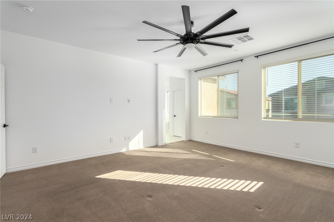 913 Sycamore Falls Street