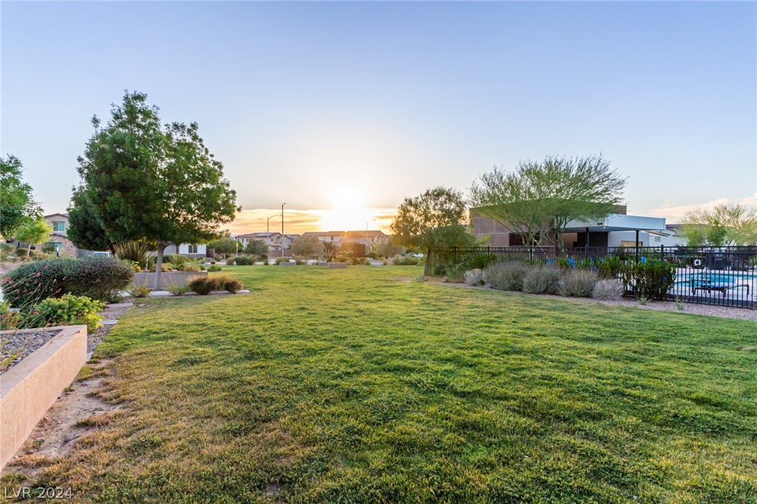 913 Sycamore Falls Street