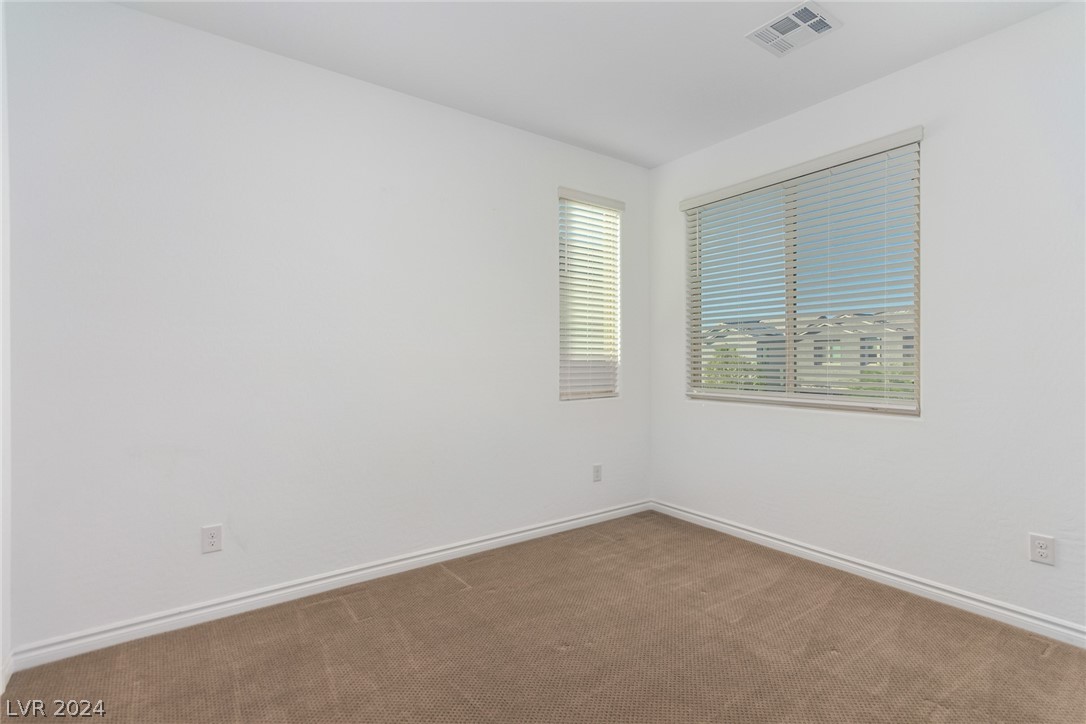 913 Sycamore Falls Street