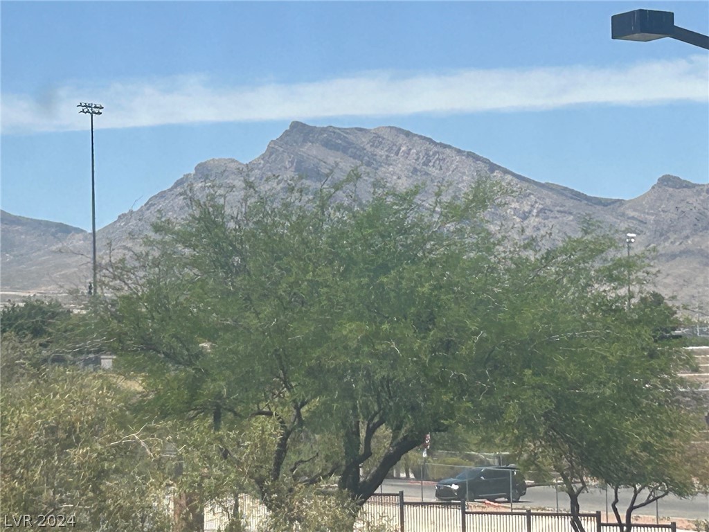 10878 Mallorca Street