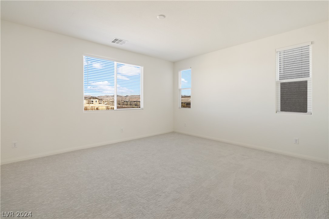 808 Cadence View Way