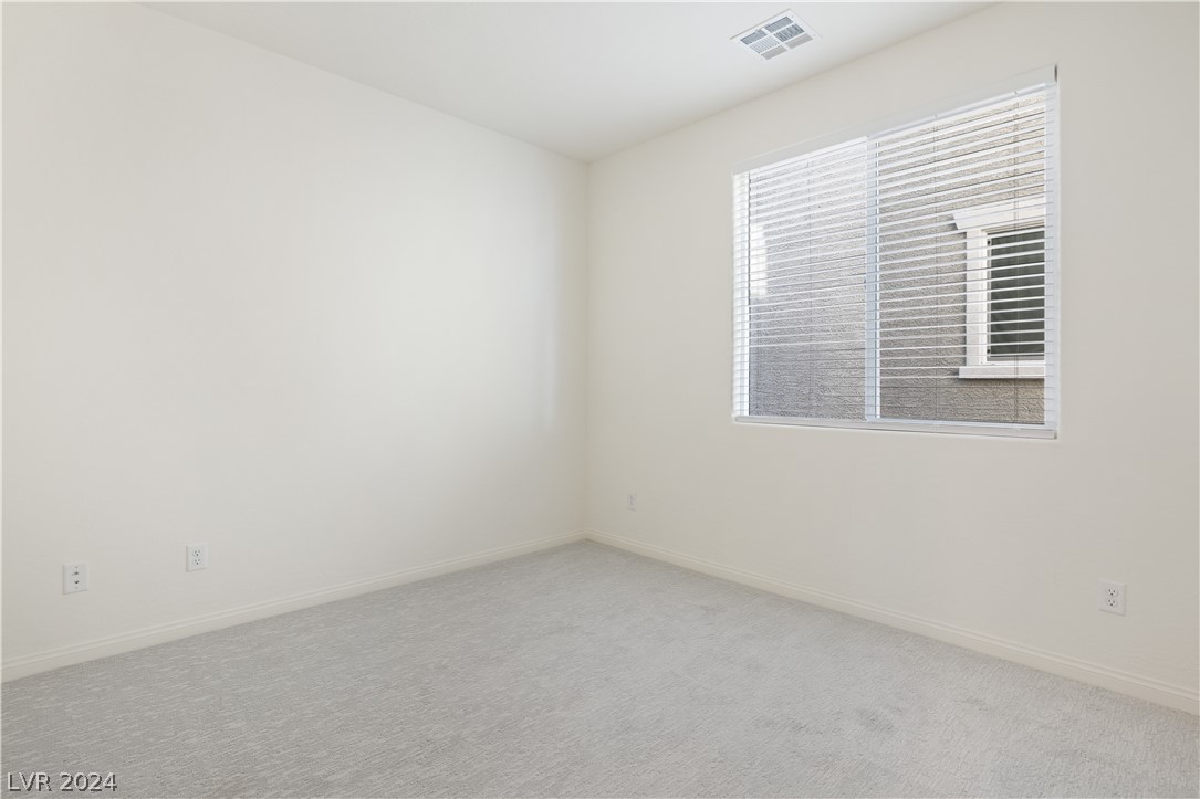 808 Cadence View Way