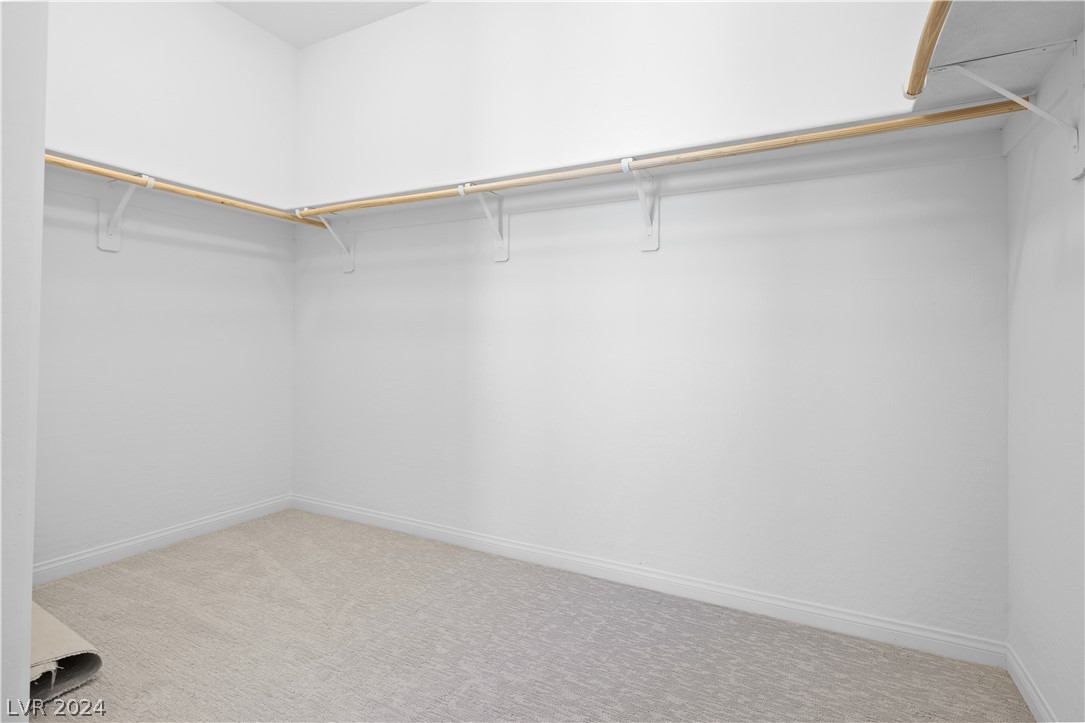 808 Cadence View Way