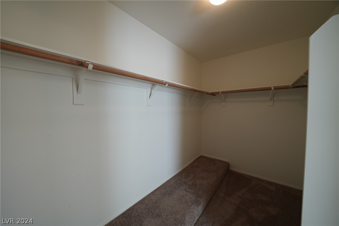 2842 Via Stella Street