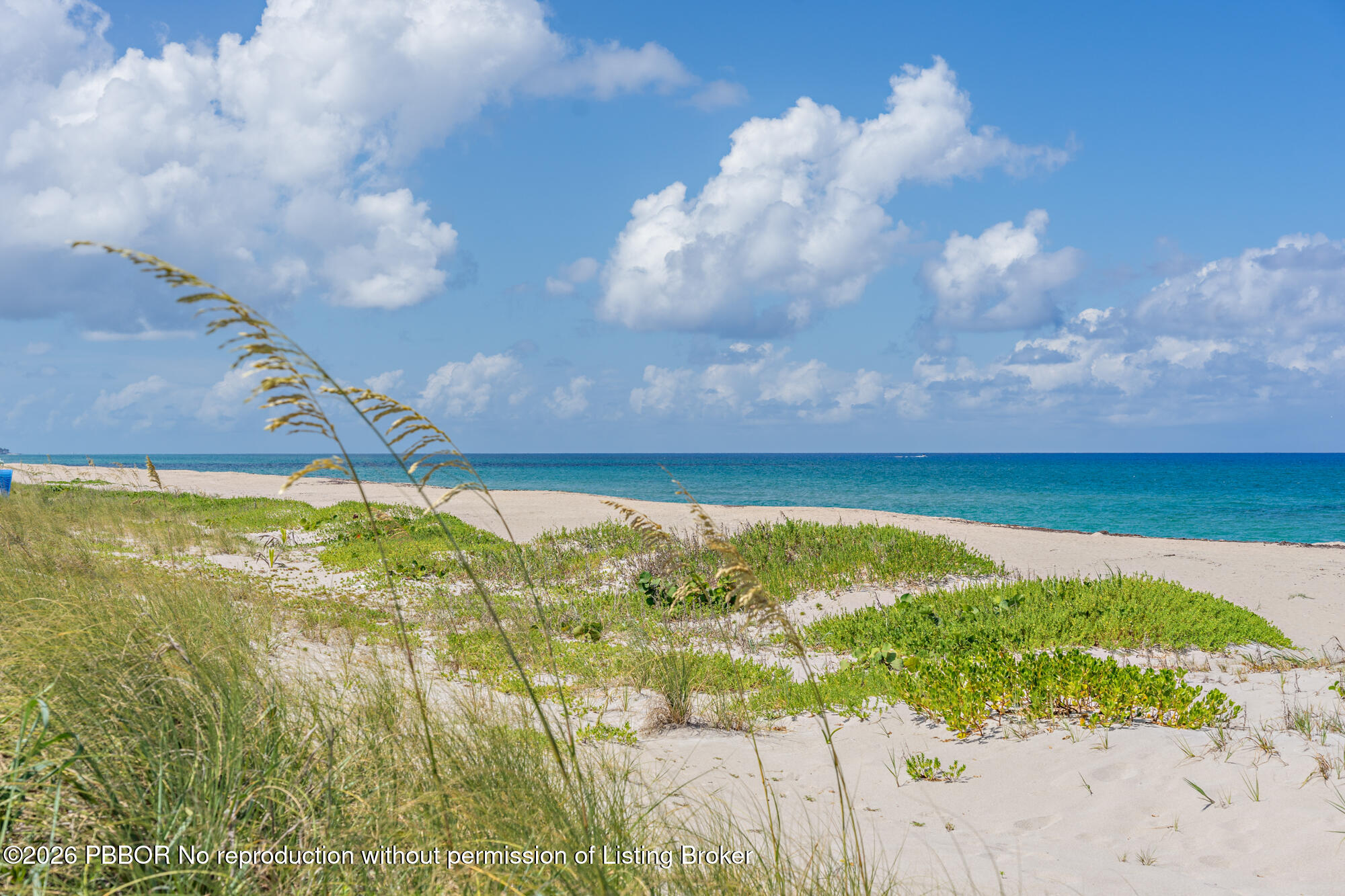 2600 S Ocean Boulevard 302-W