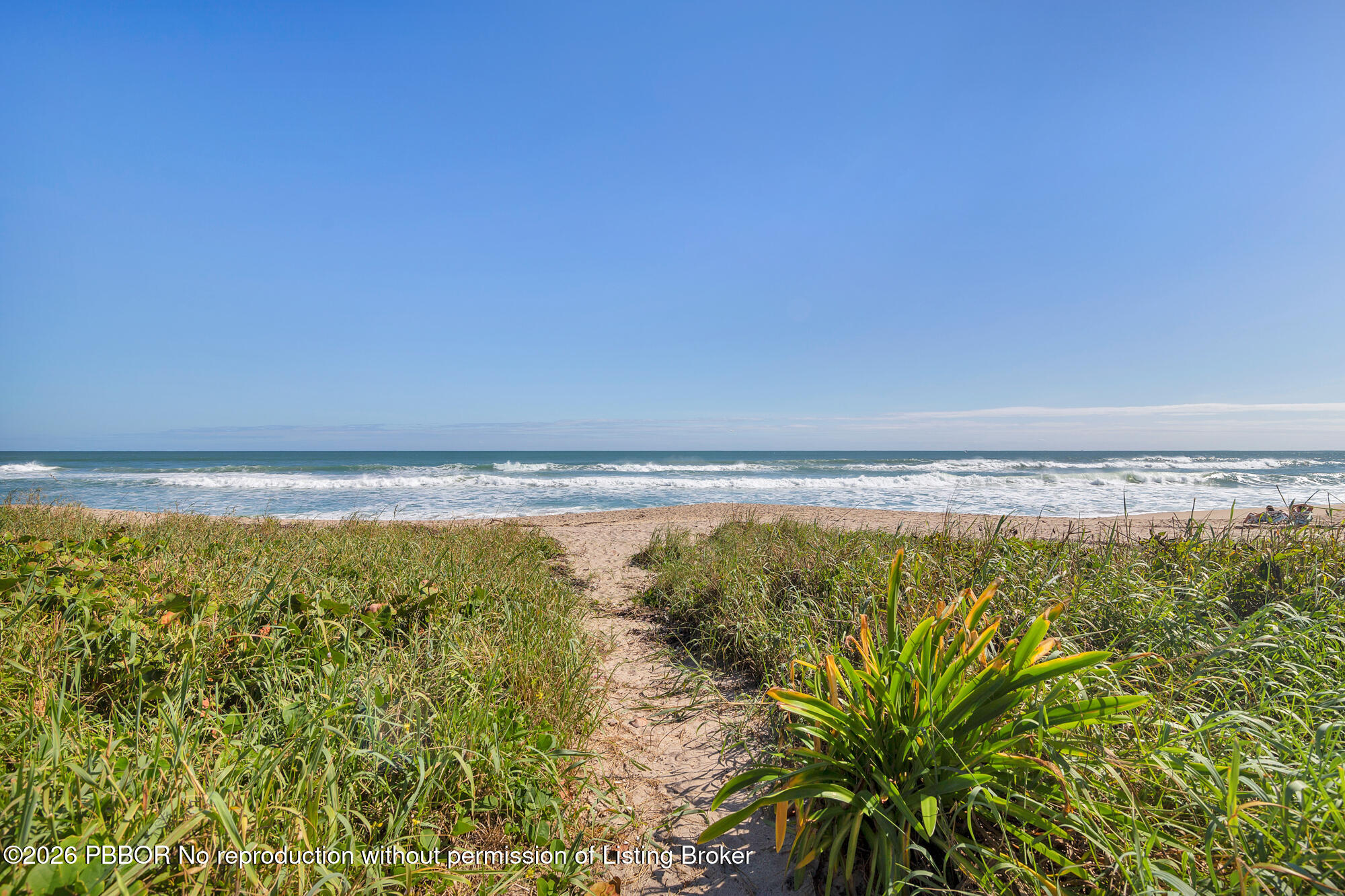 110 Sunset Avenue 4-A