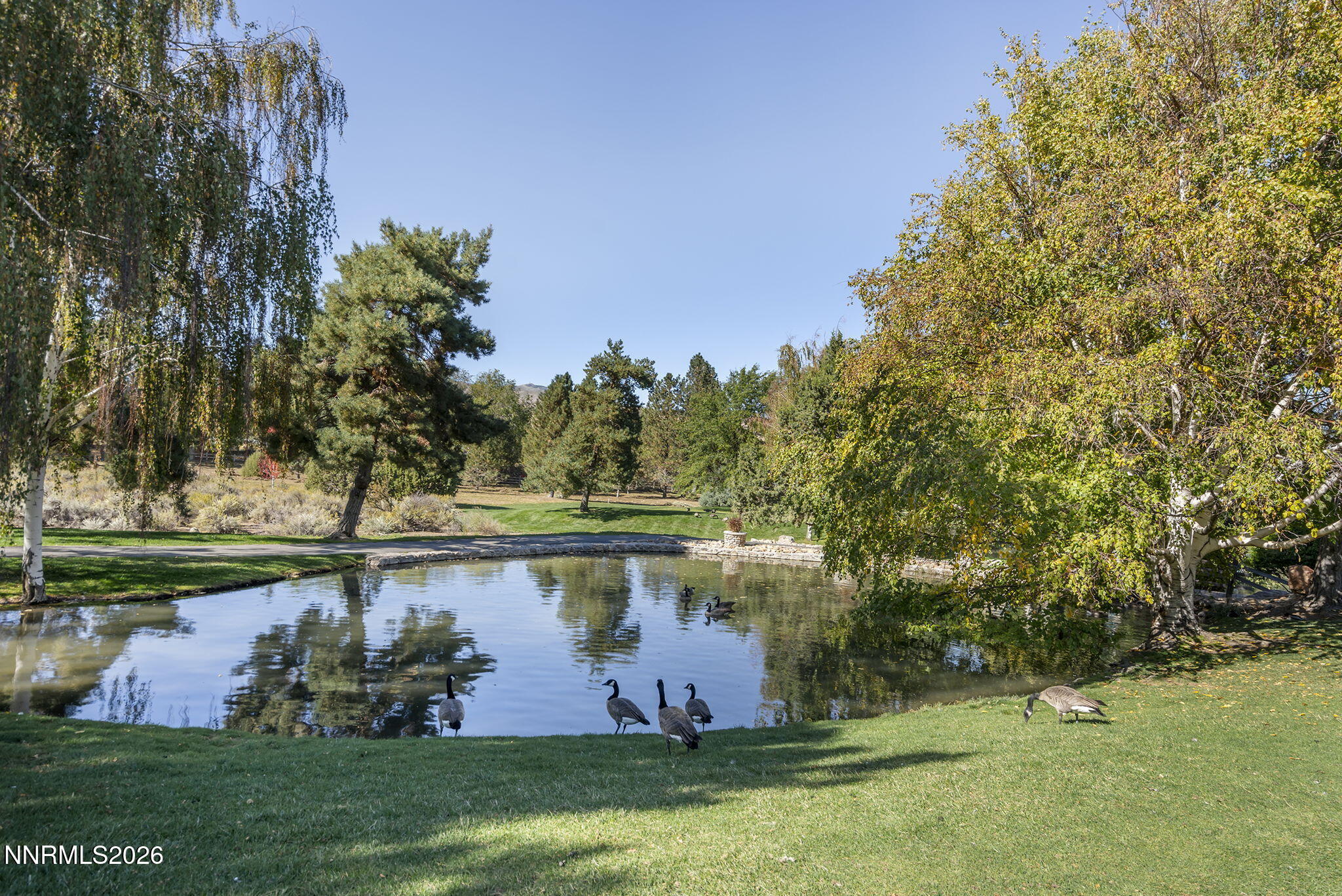 4791 W Creek Ridge Trail