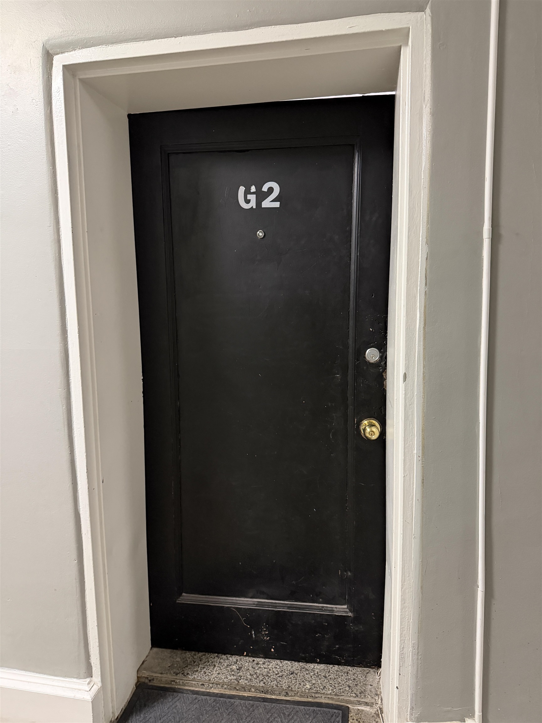 165 VROOM ST Unit: G2
