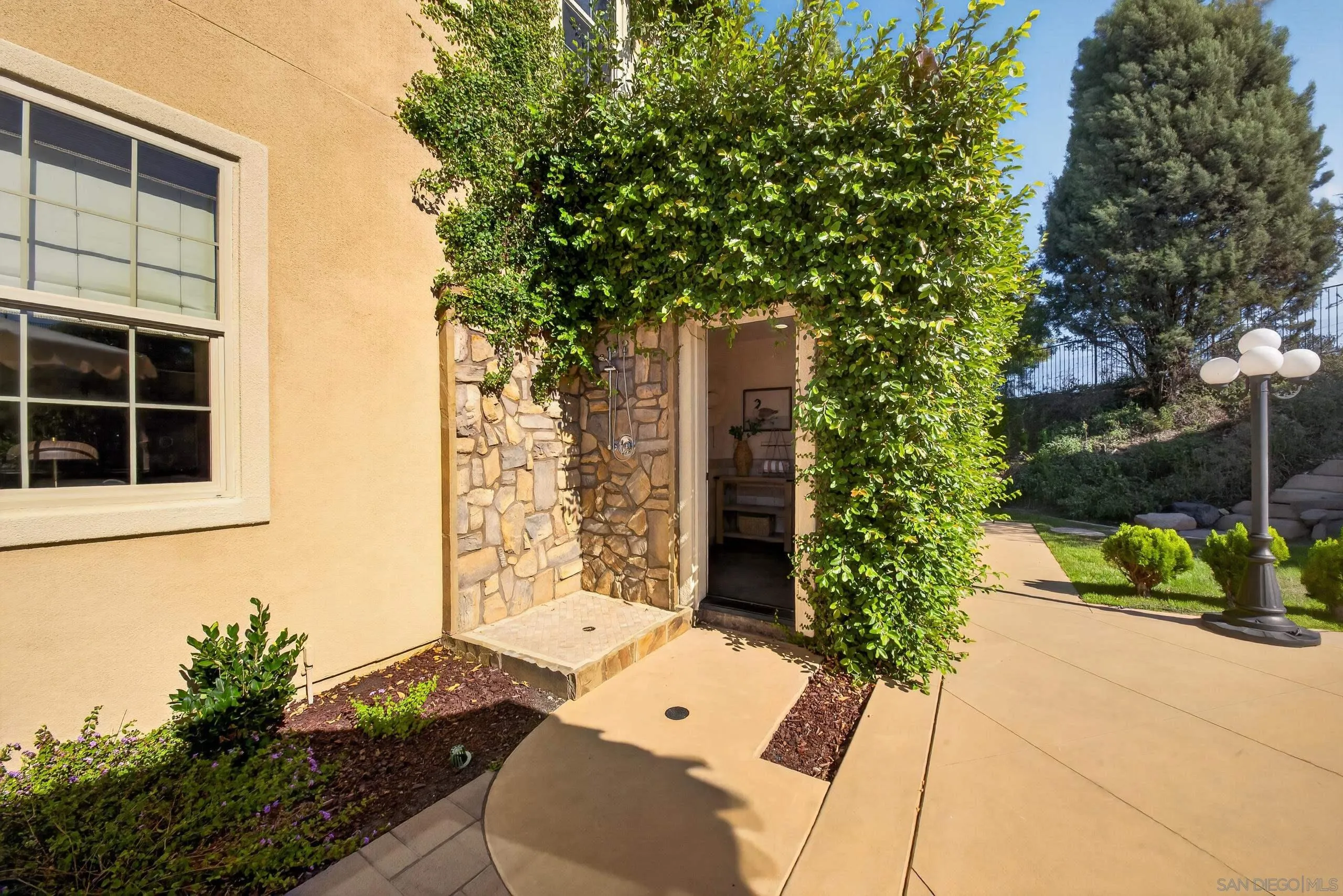 15145 Almond Orchard