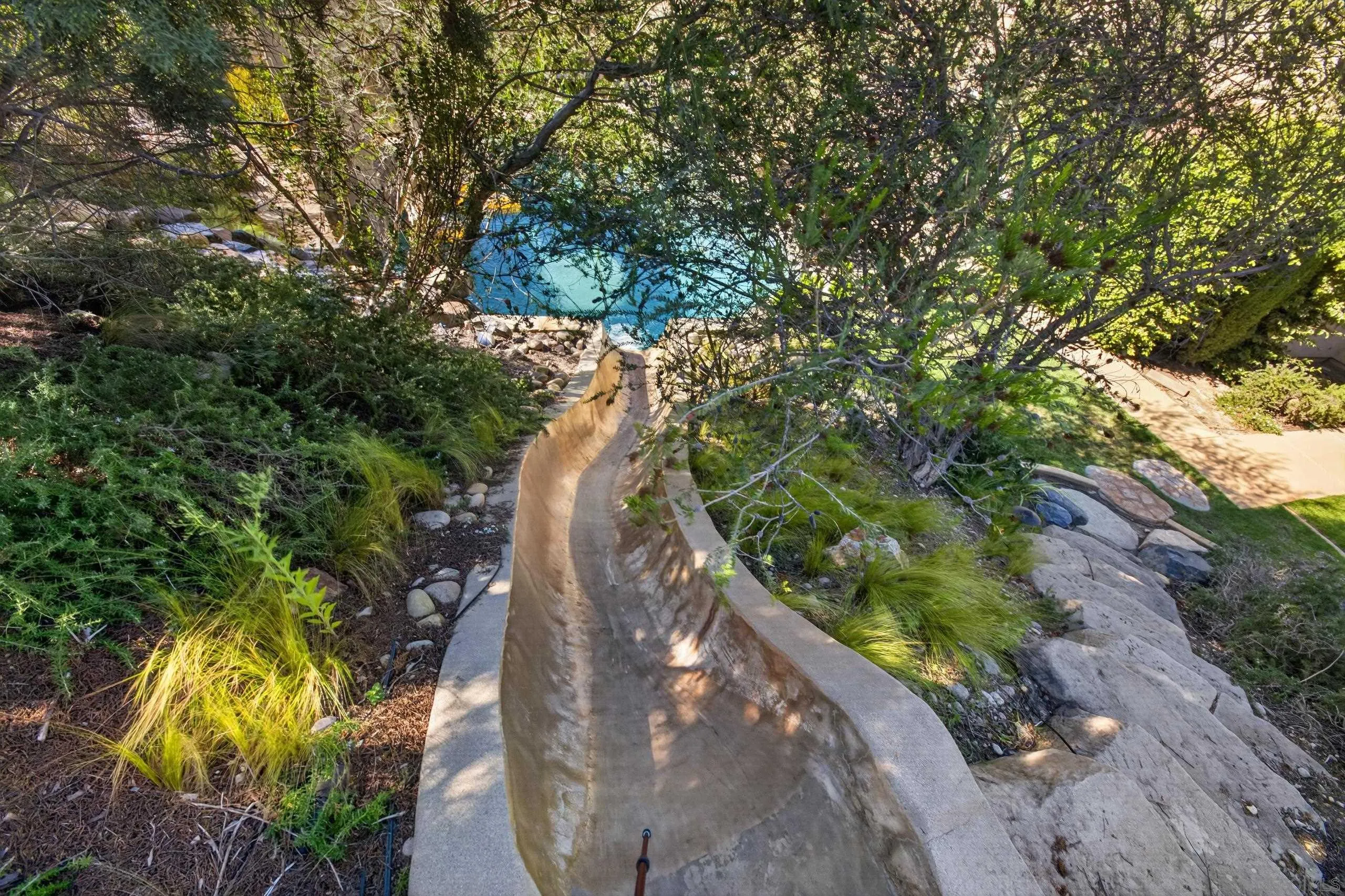 15145 Almond Orchard