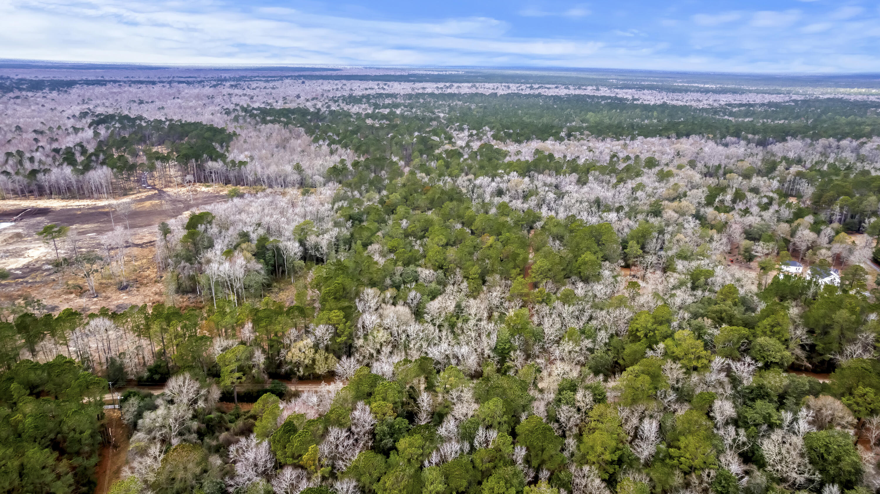 8874 Old Georgetown Road, McClellanville