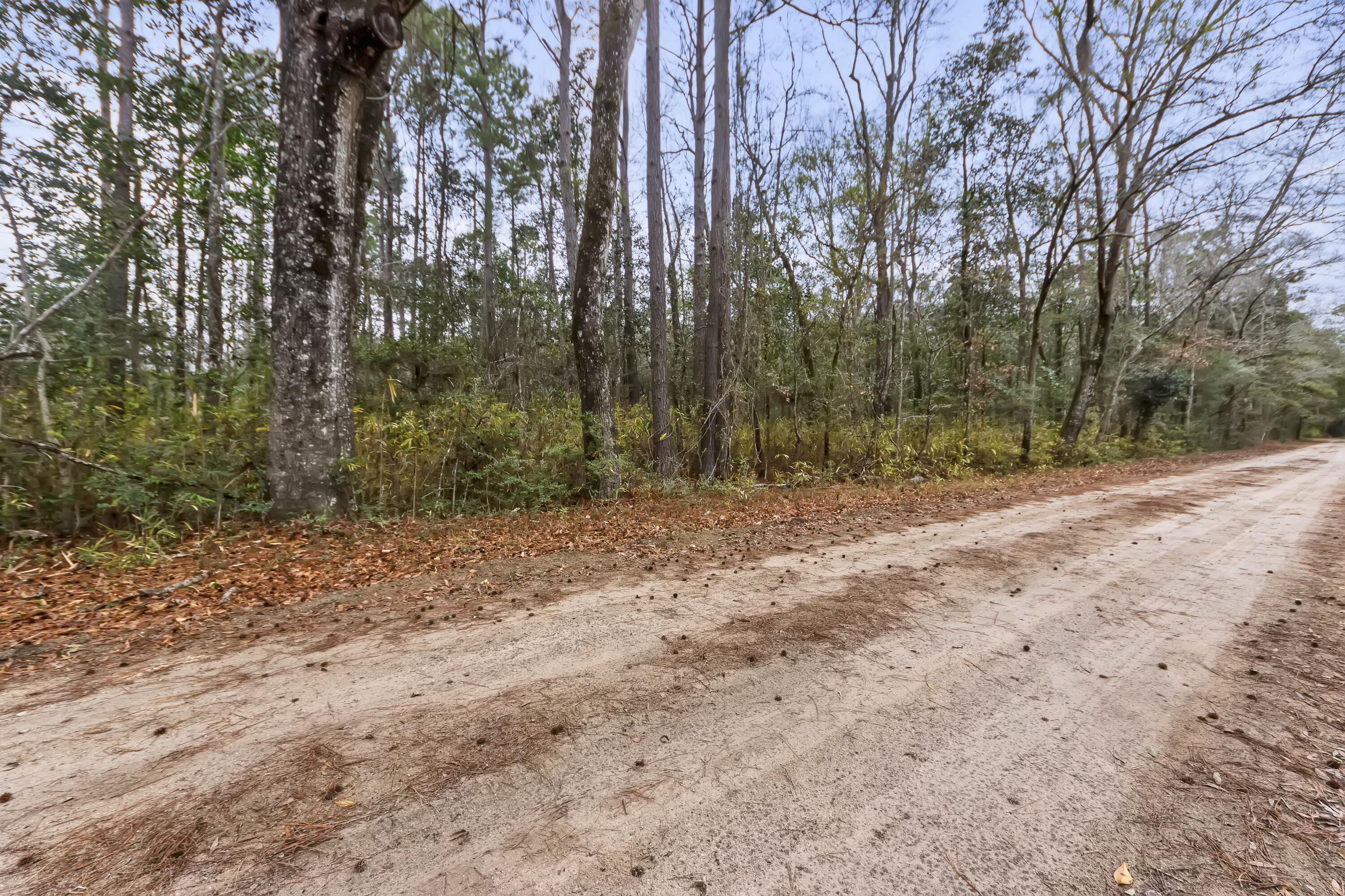 8874 Old Georgetown Road, McClellanville