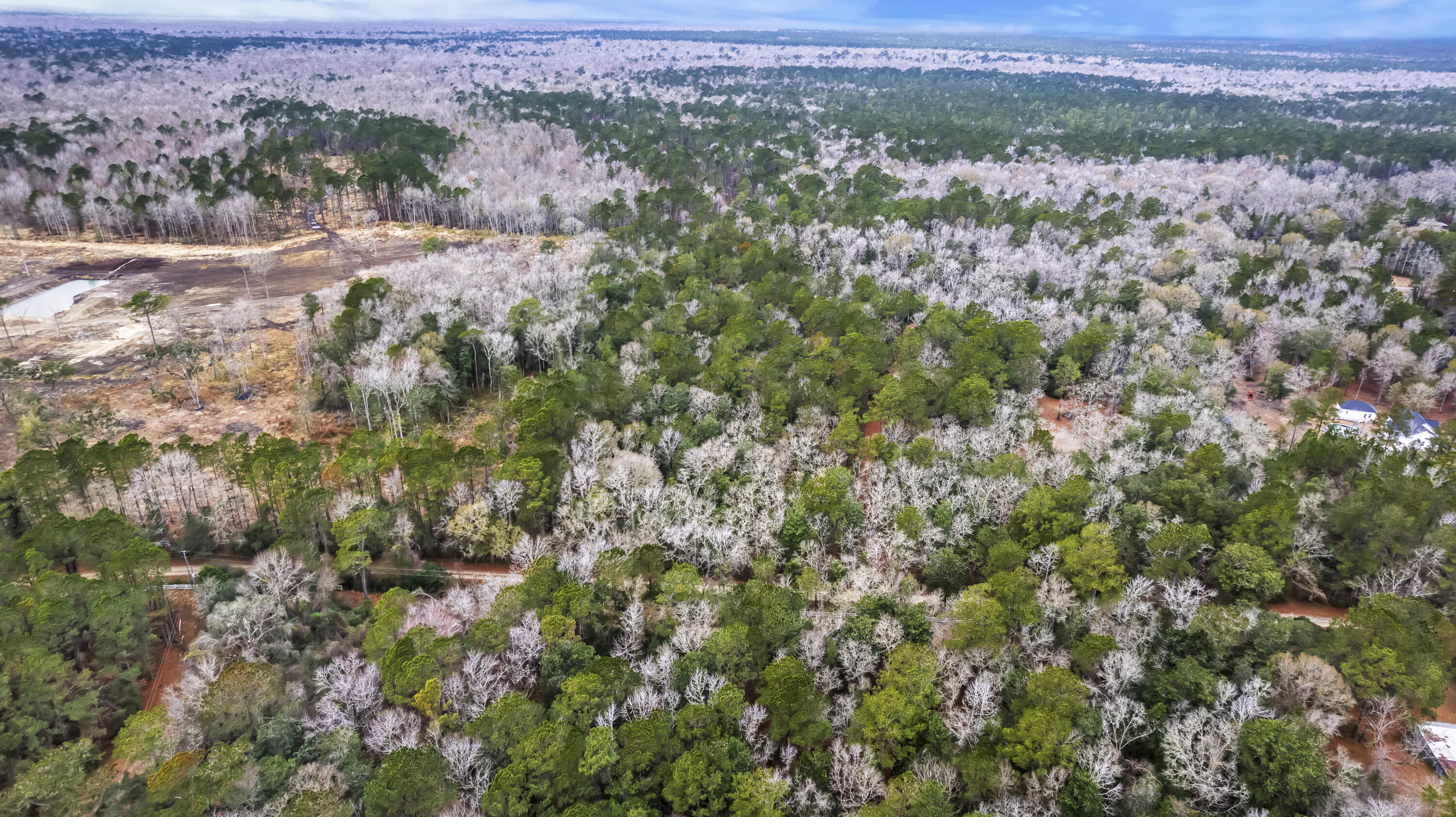 8874 Old Georgetown Road, McClellanville