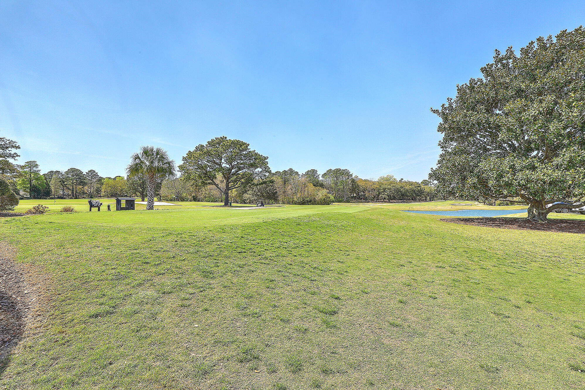 1126 Snap Dragon Court
