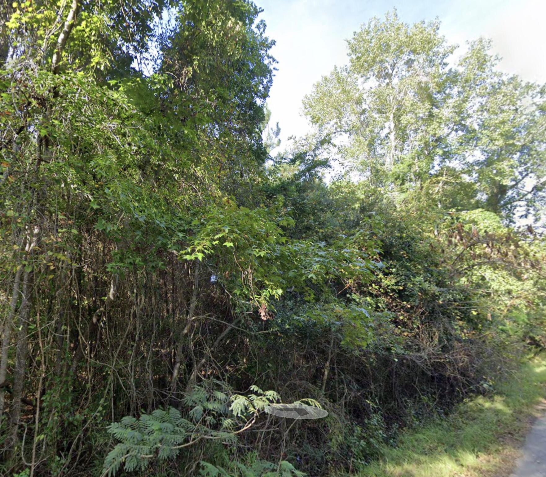 8448 Old Georgetown Road, McClellanville
