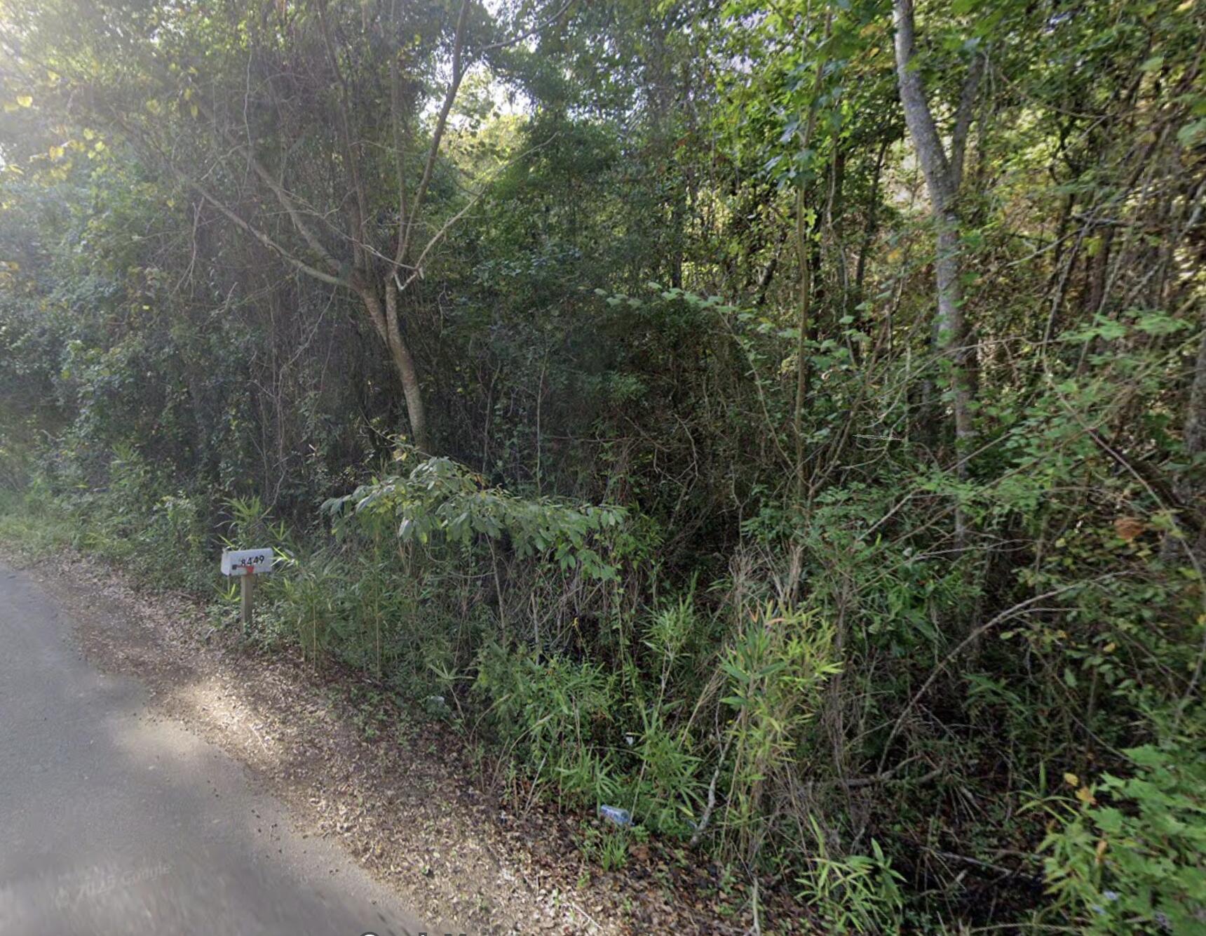 8448 Old Georgetown Road, McClellanville