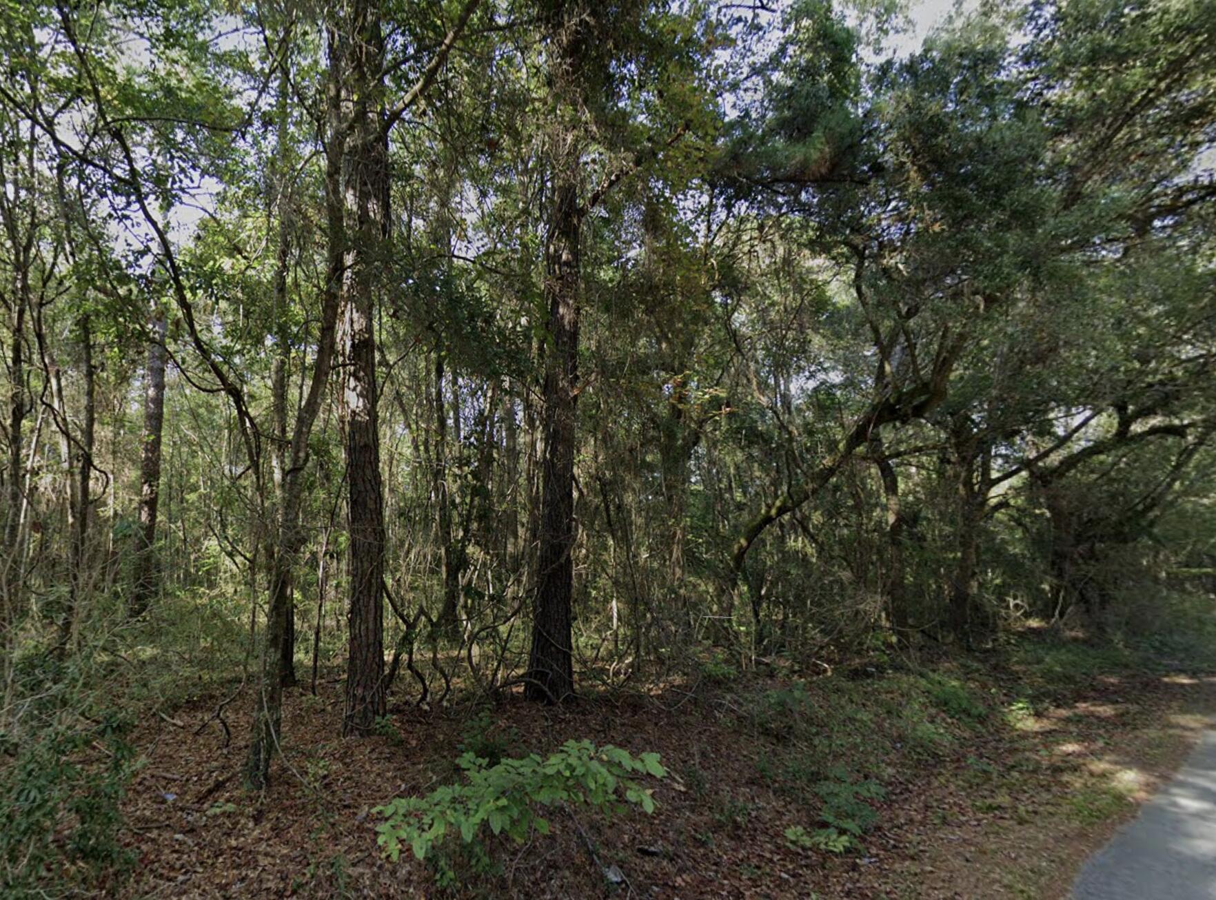 8448 Old Georgetown Road, McClellanville
