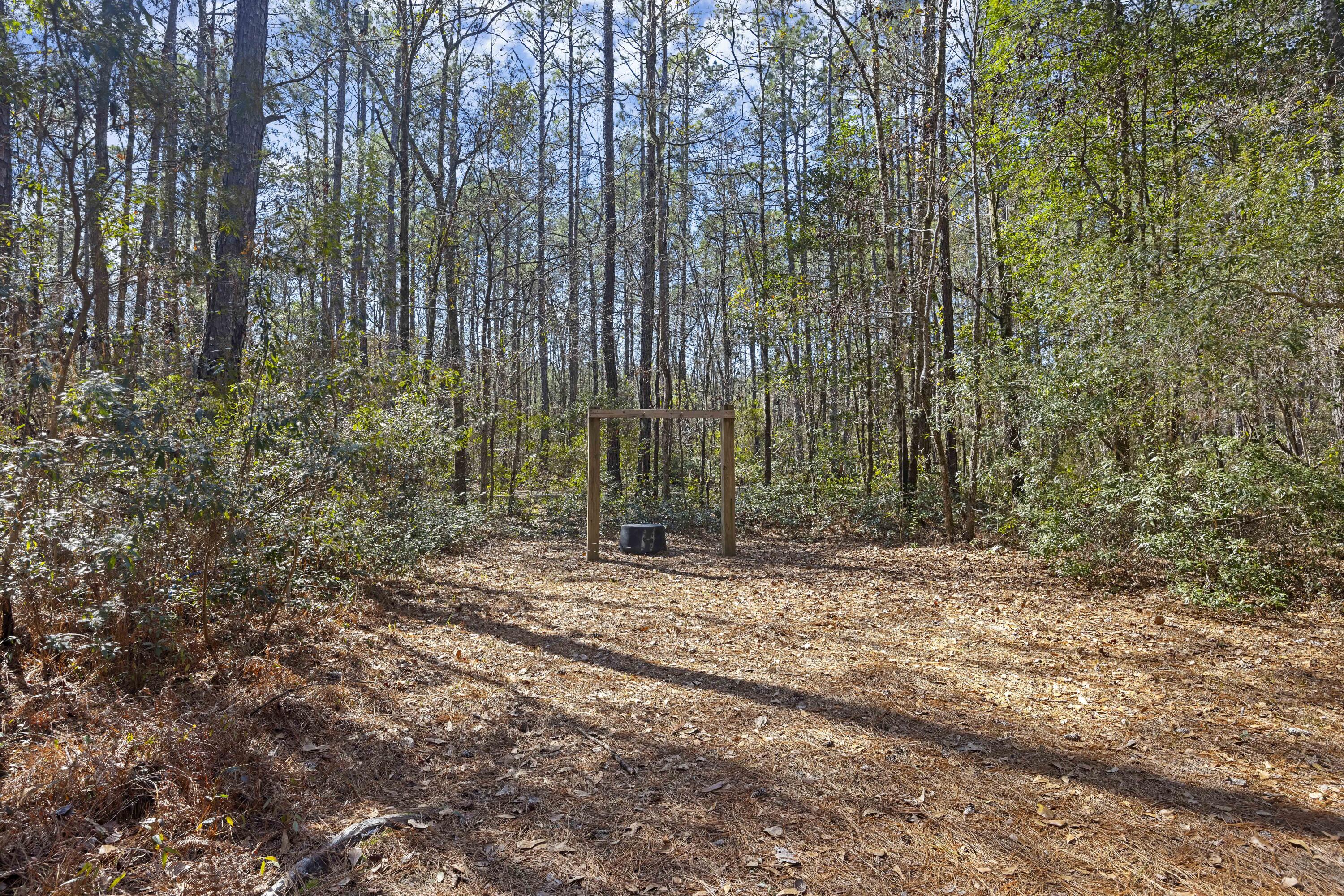 9168 Old Georgetown Road, McClellanville