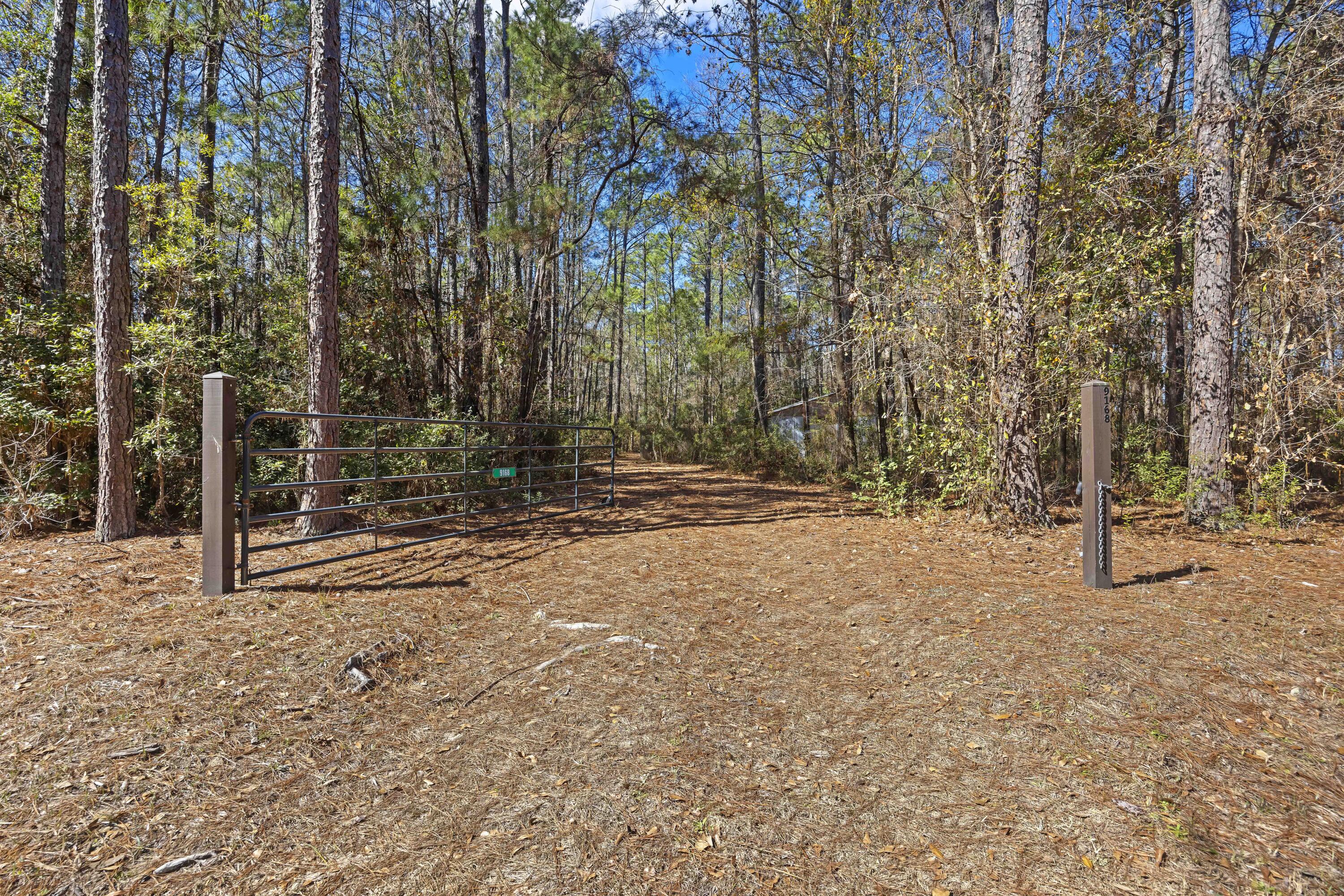 9168 Old Georgetown Road, McClellanville