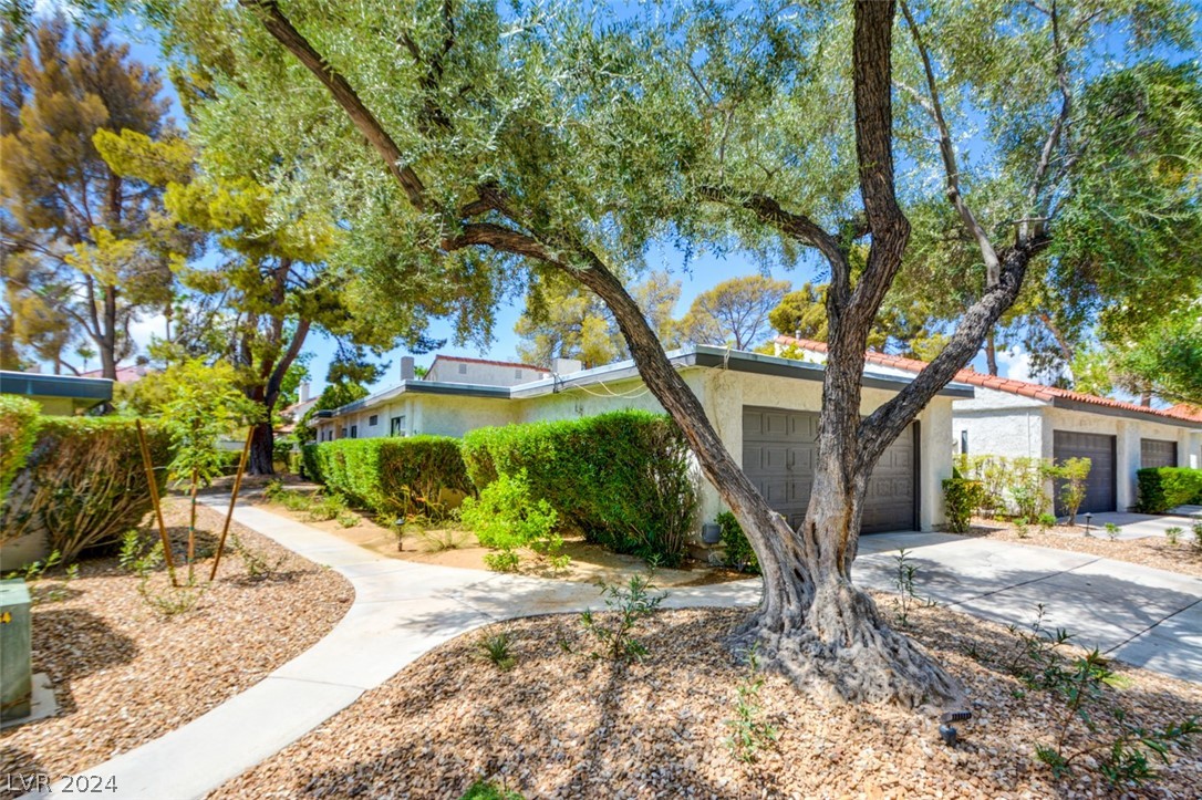 2567 Palmera Circle 0