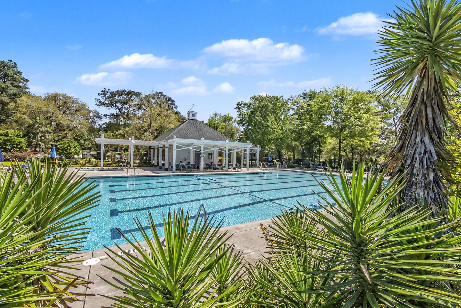 561 Pointe Of Oaks Road
