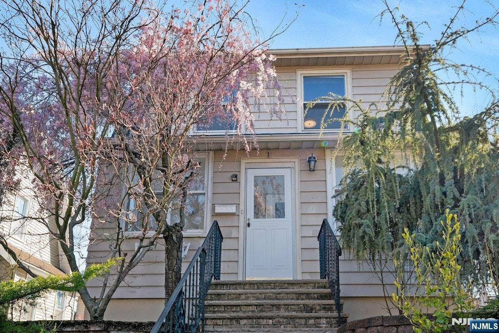 51 Cedar