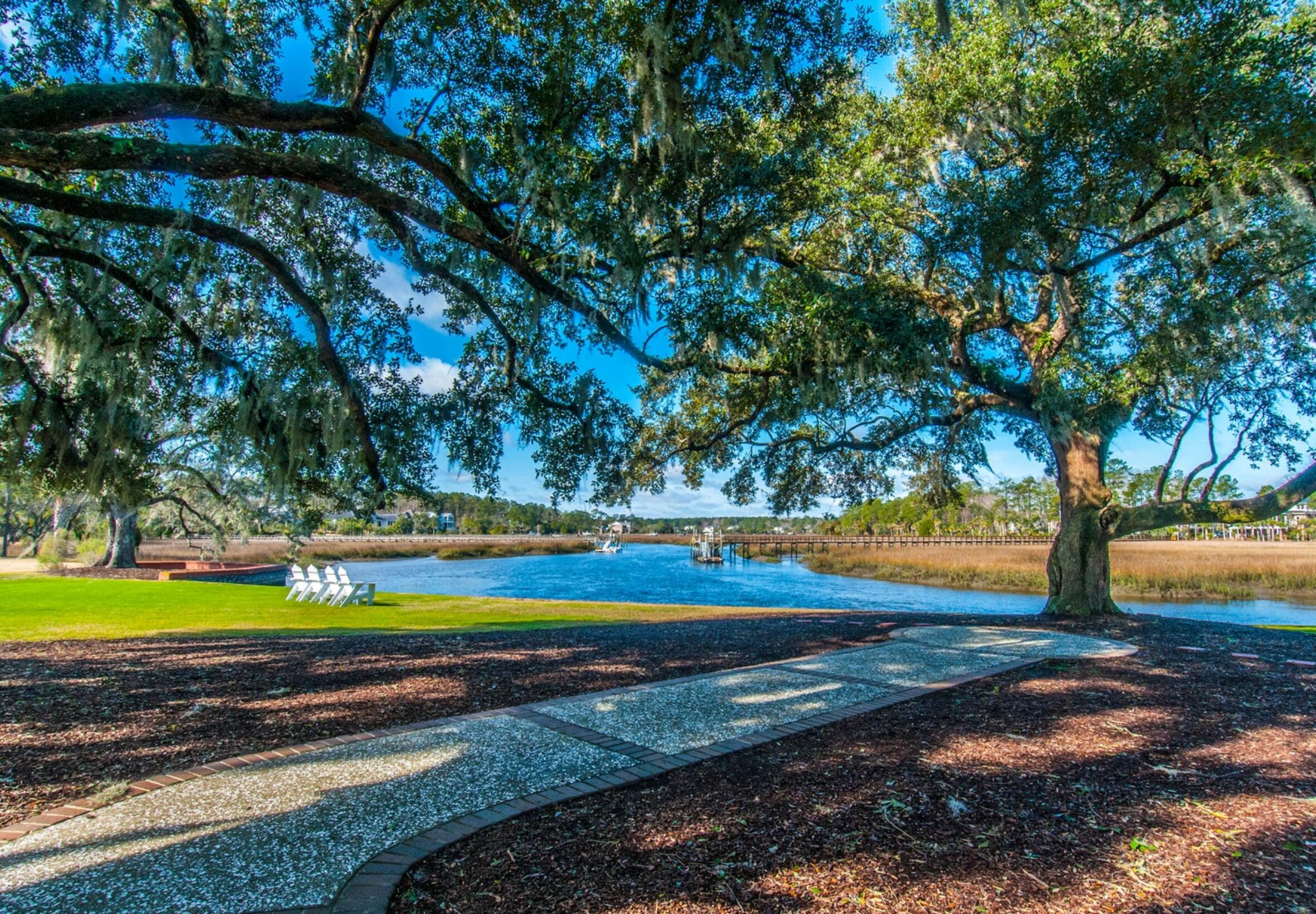 1657 Pin Oak Cut