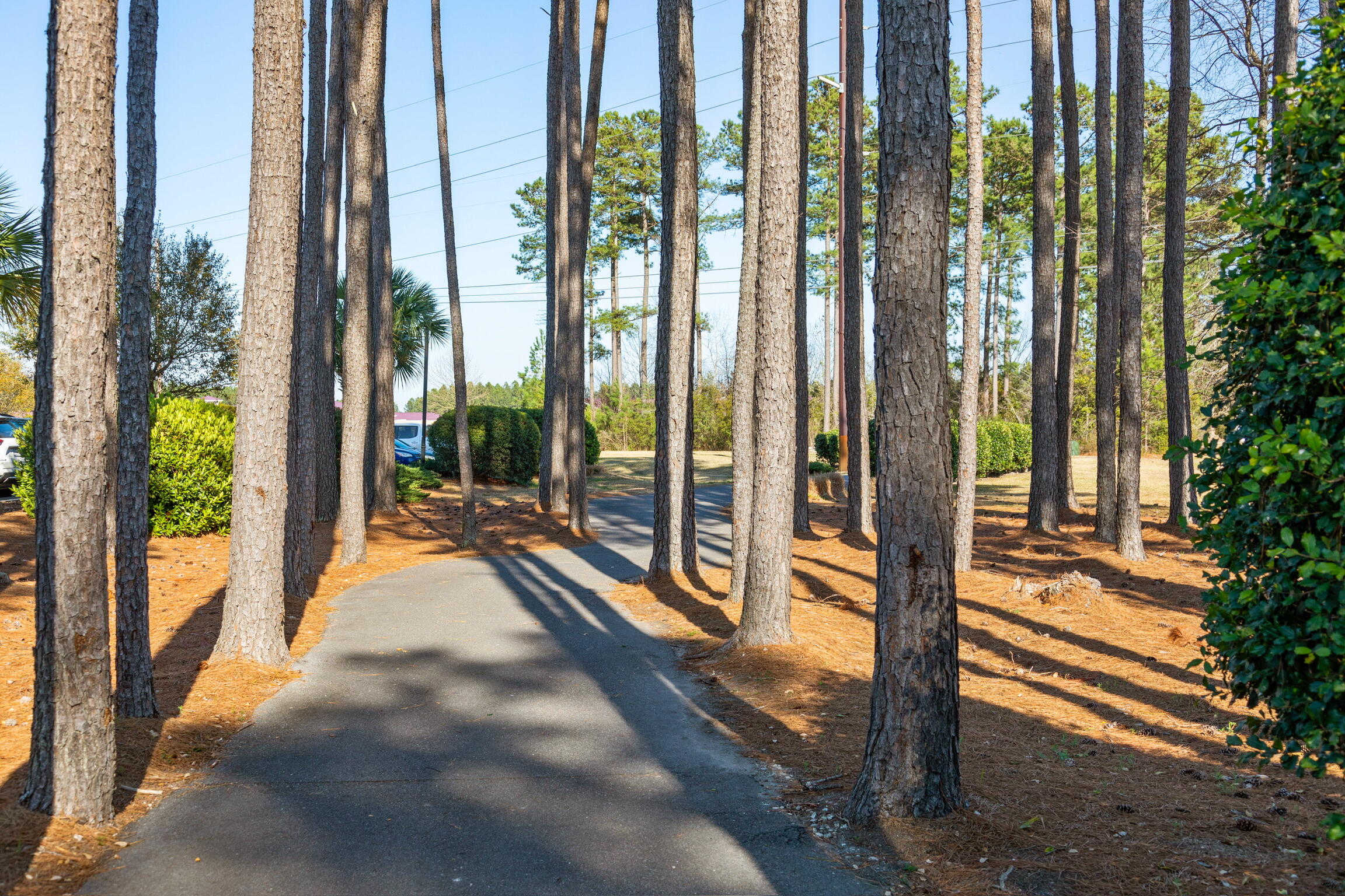 283 Ivory Shadow Road