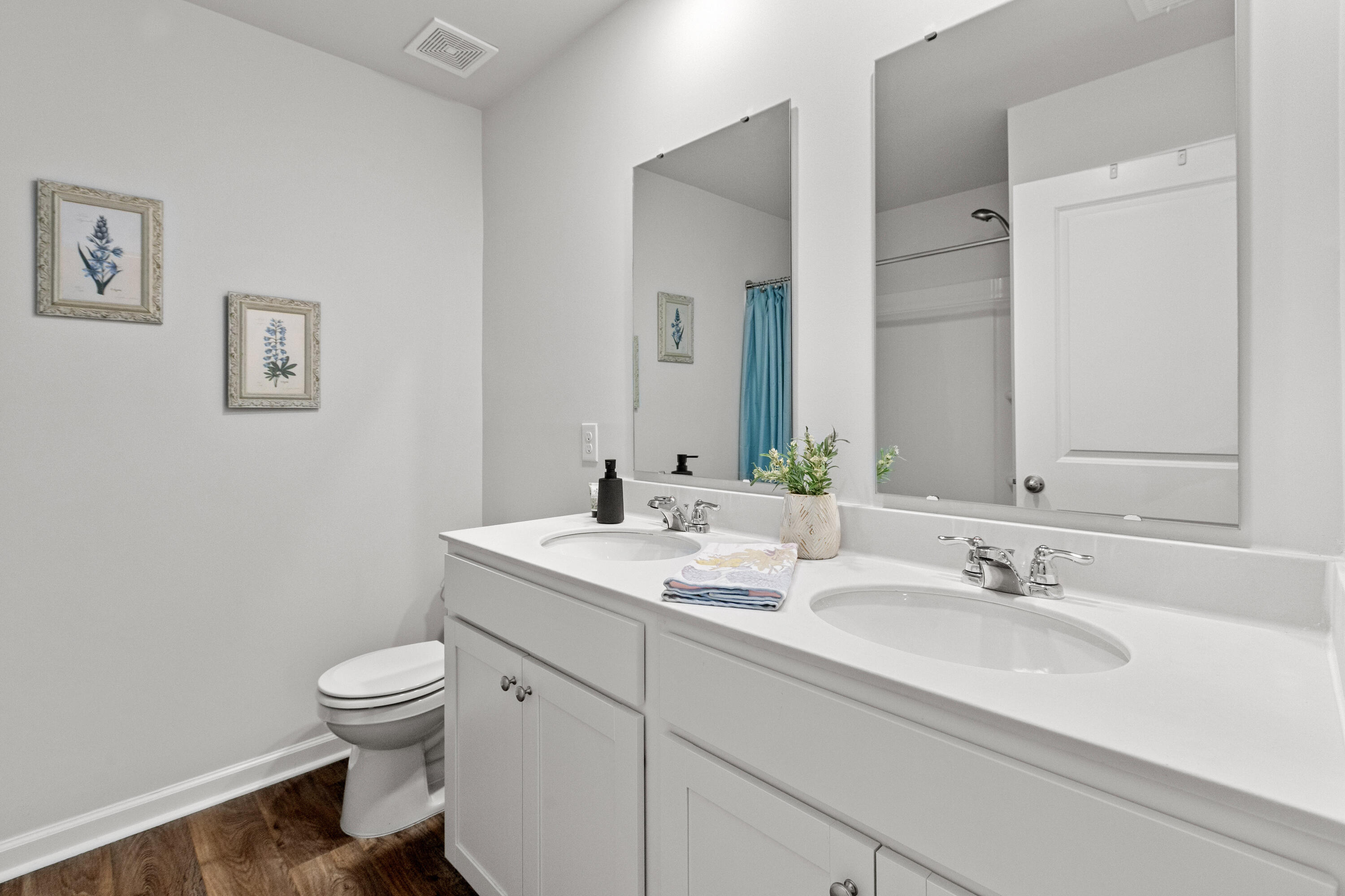 283 Ivory Shadow Road
