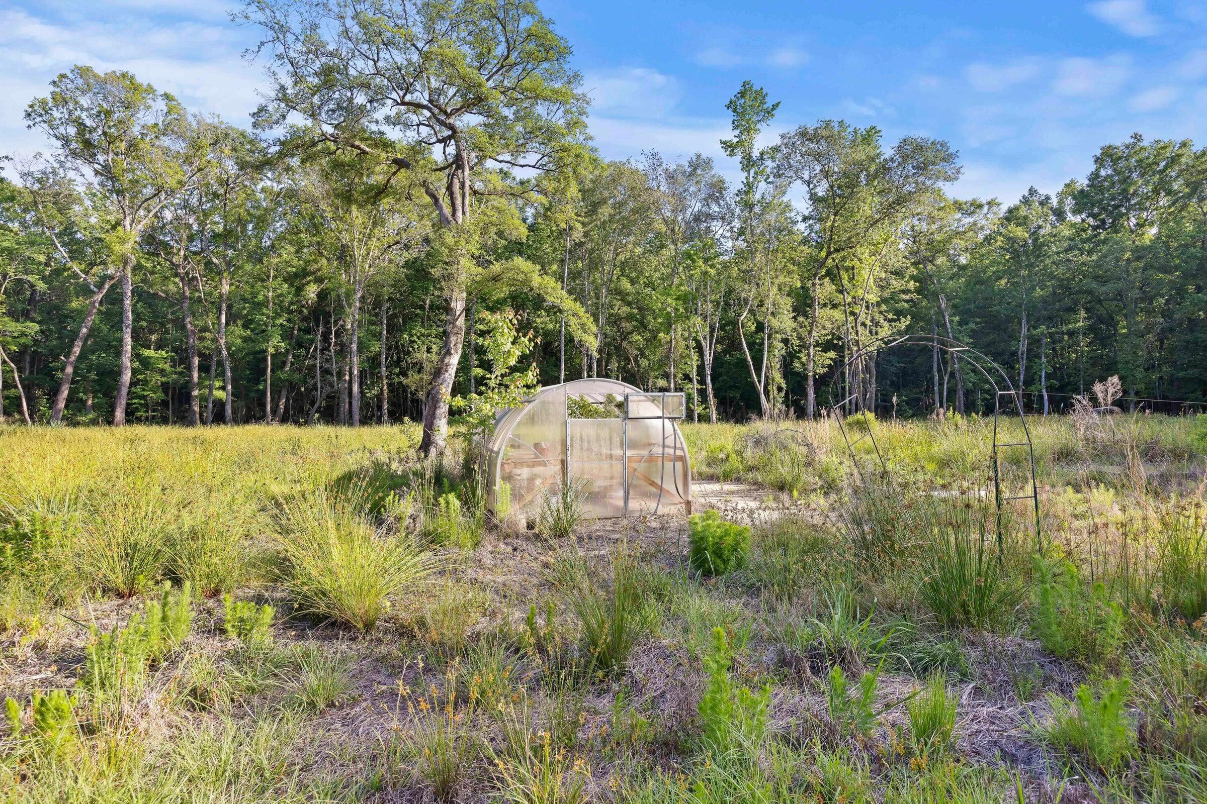 5339 Highway 162