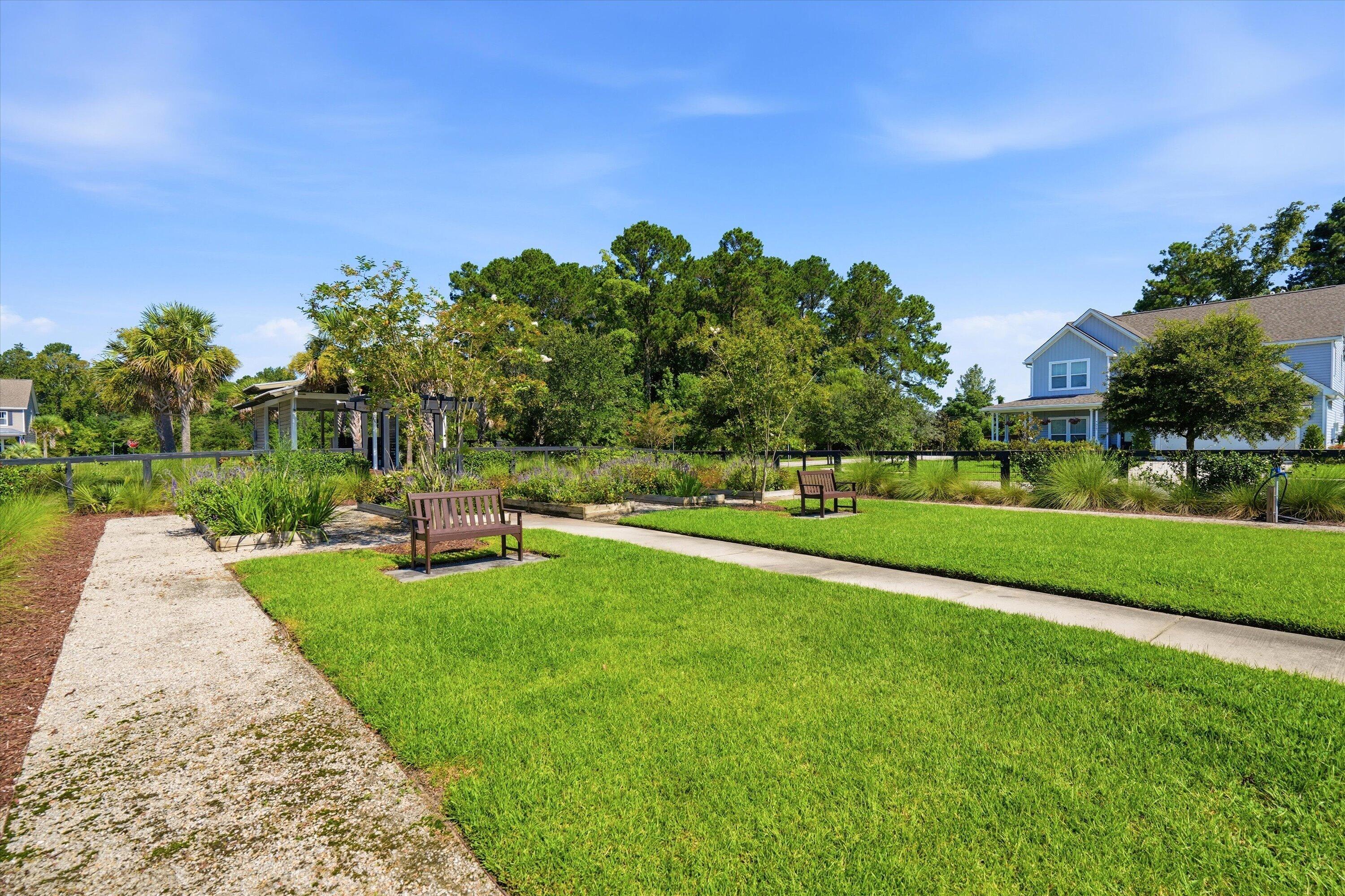 1559 Thin Pine Drive