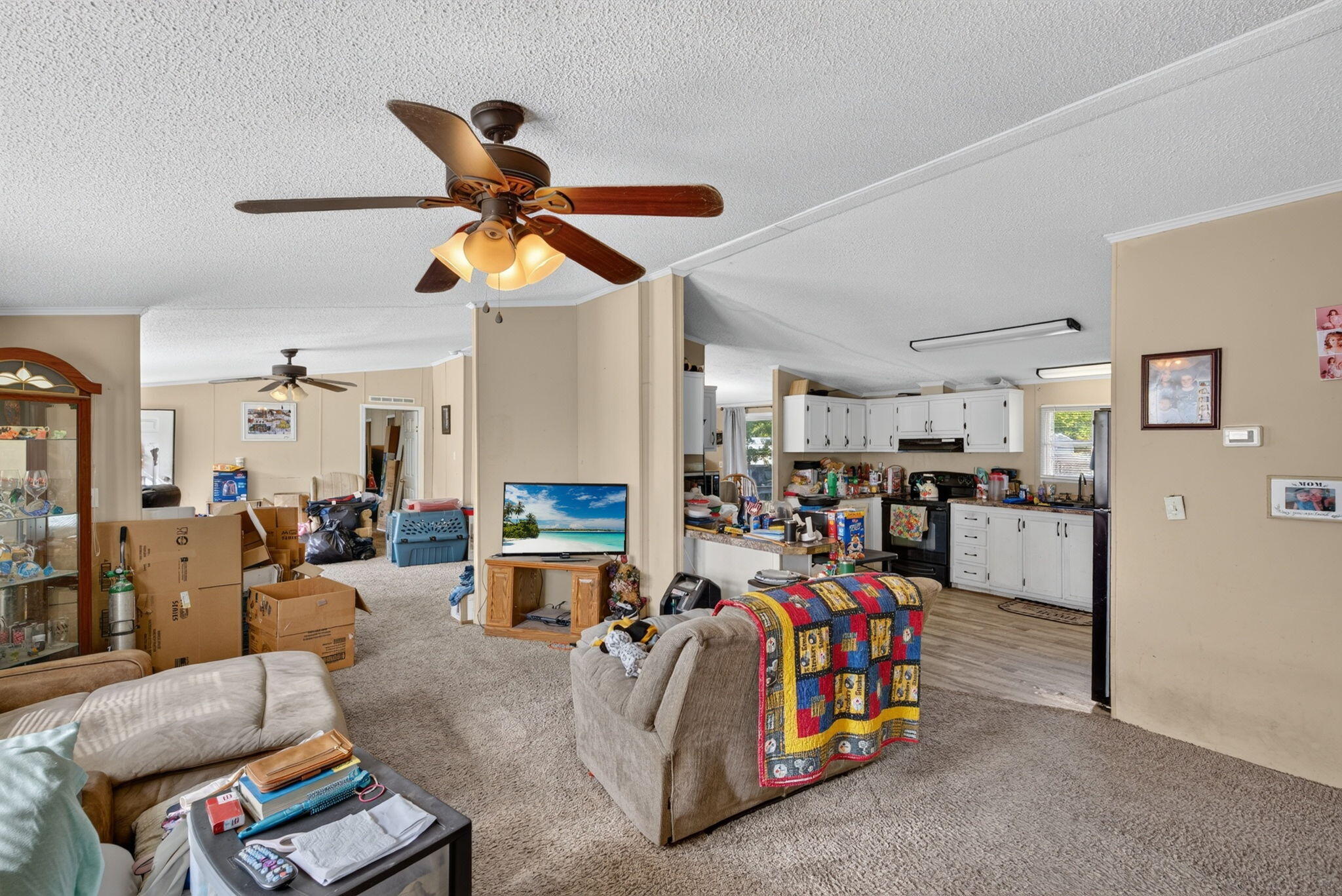 242 Cady Drive